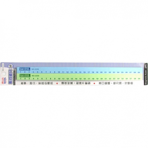 成功 2230 磁條30cmx2支入